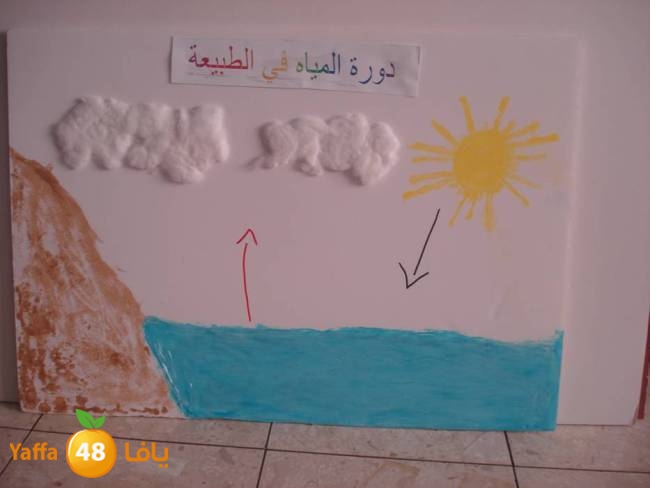 shamela320w (21).jpg